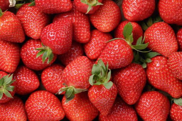 Article image for ‘An act of sabotage’: Strawberry needle contamination saga imperils industry