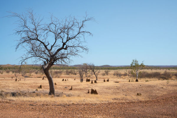 Article image for Drought coordinator can’t explain where our donations are going
