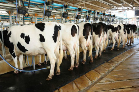 Dairy drought levy welcome but more needed