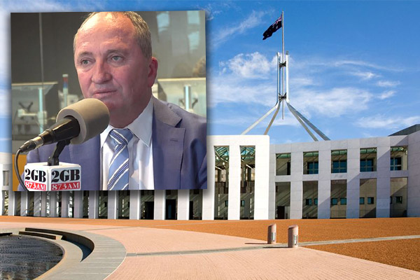 Article image for ‘It’s disappointing’: Barnaby speaks out on former PM