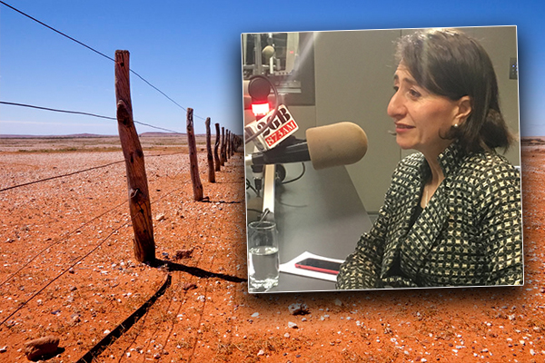 Article image for ‘We’re in a man-made drought here’: The failings of the NSW government