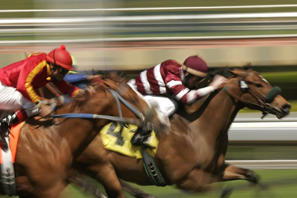 Article image for New consumption tax could bring racing industry ‘to its knees’