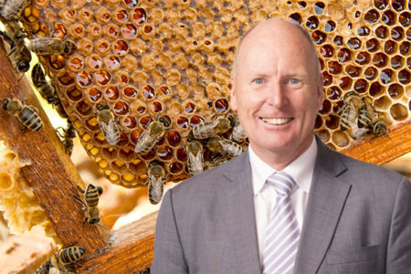 Conflict of interest in Aussie honey scandal