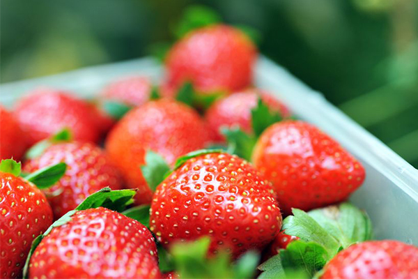 Article image for ‘We can’t let the saboteurs win’: Alan Jones calling on Australians to buy strawberries