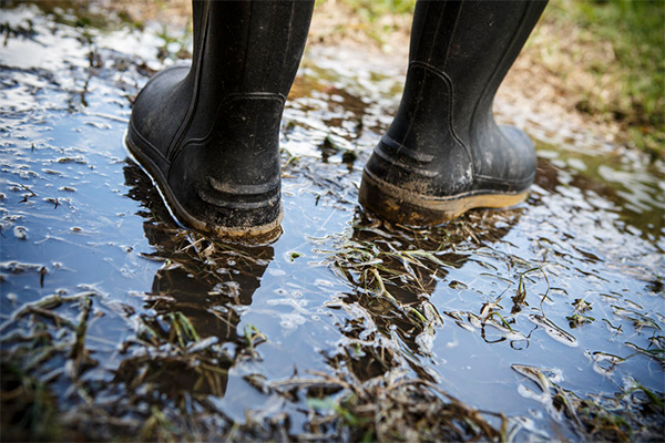 Article image for When our farmers can expect rain next