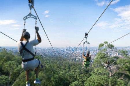 Cutting the cord on the Mt Coot-tha Zipline