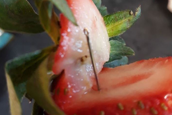 Article image for ‘I can’t understand the thinking of these people’: Strawberry needle crisis worsens
