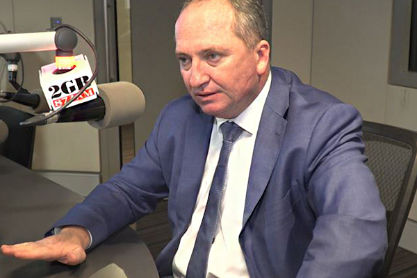 Article image for Barnaby Joyce unleashes his own scathing review on ball-tampering bans