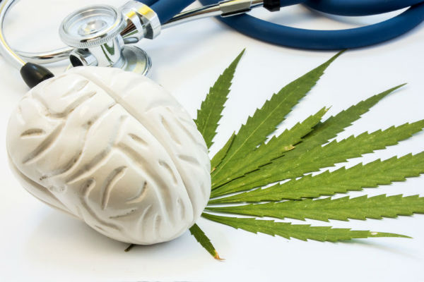 Trial of cannabis treatment for brain cancer