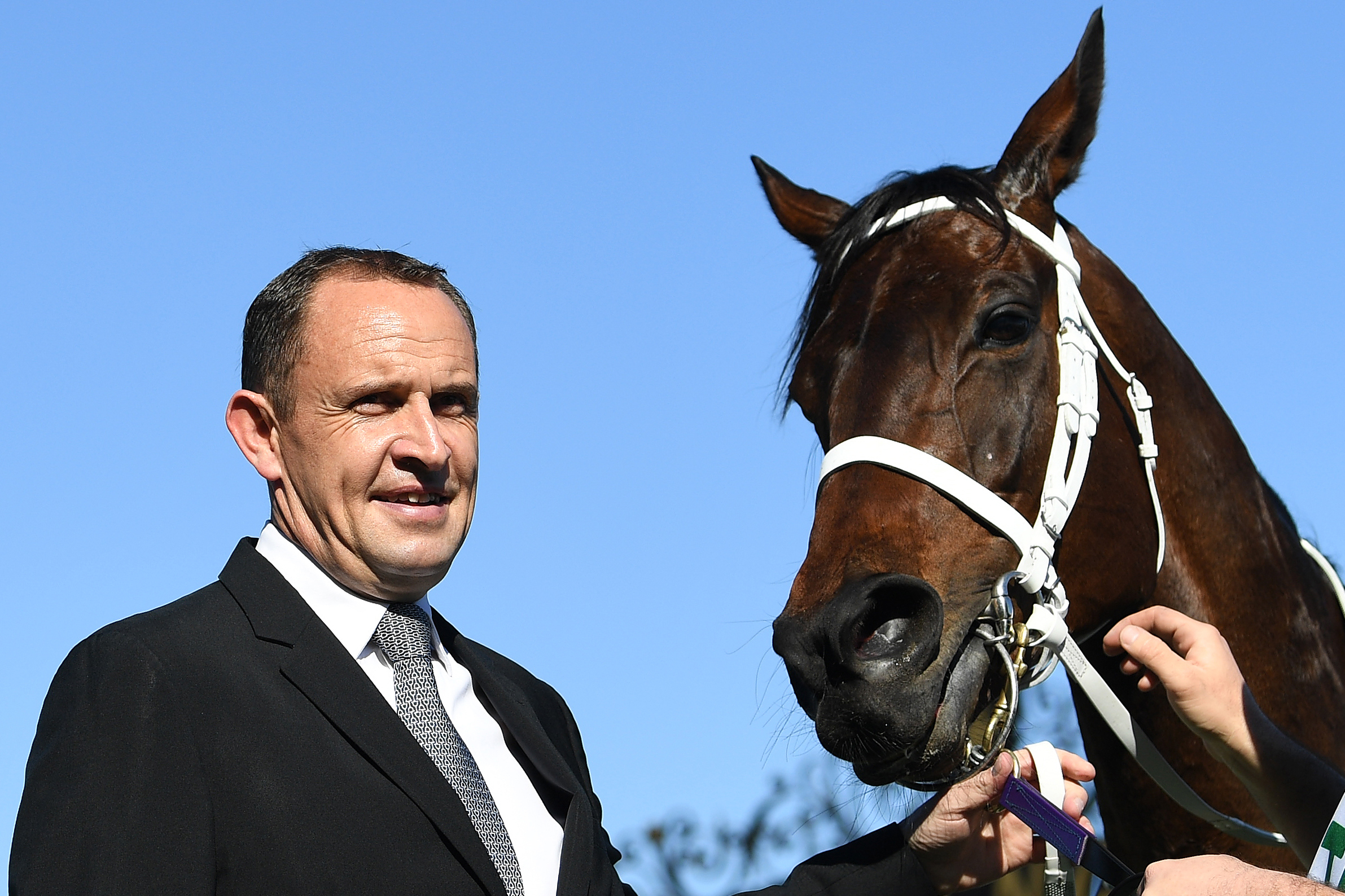‘It will take a champion to beat her’: Chris Waller confident Winx will make history… again