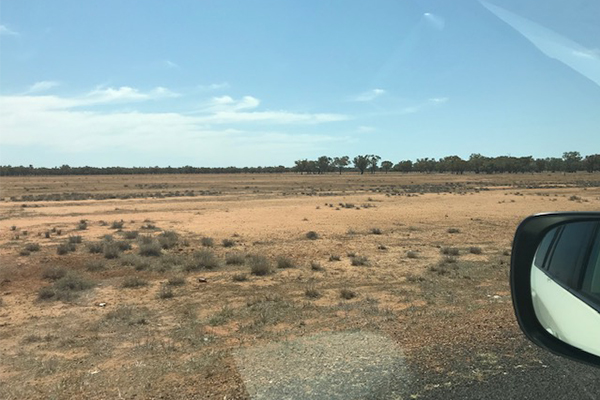 Article image for Despite recent rain, farmers still battling dusty, dry drought