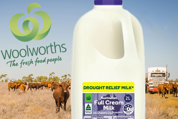 Article image for Drought relief milk raises more than half a million dollars already