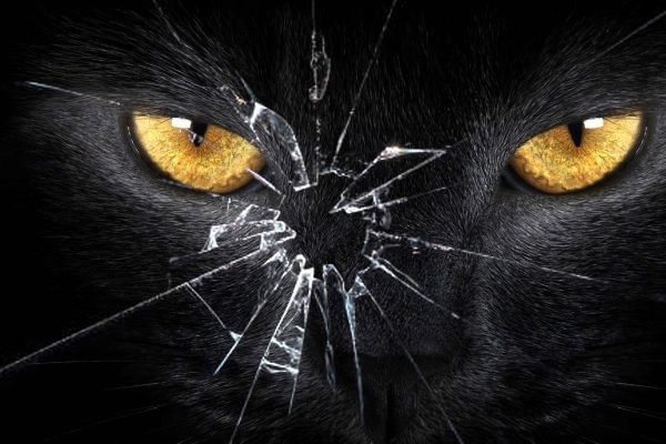 Article image for Do you follow any of these wacky superstitions?