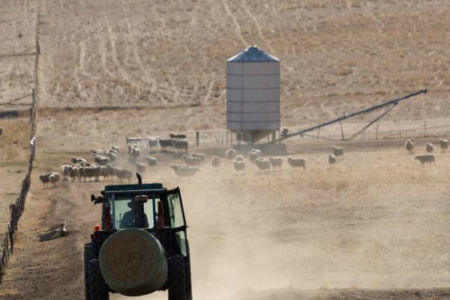 Farmers continue to struggle through nation’s worst drought