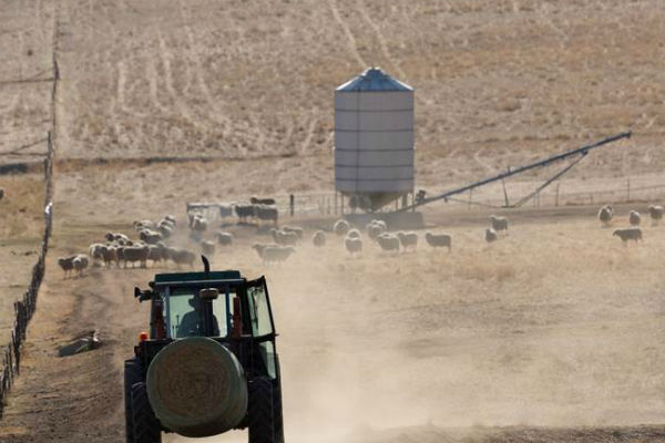 Article image for Farmers continue to struggle through nation’s worst drought