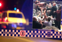 Police officers attacked by drunk UFC fans