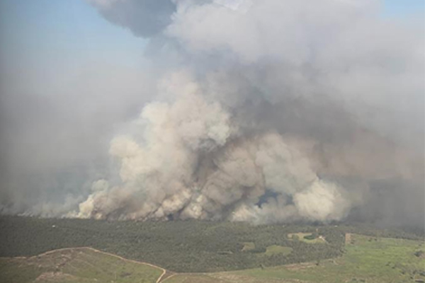 Article image for Firefighters gain upper hand on bushfire near Rockhampton