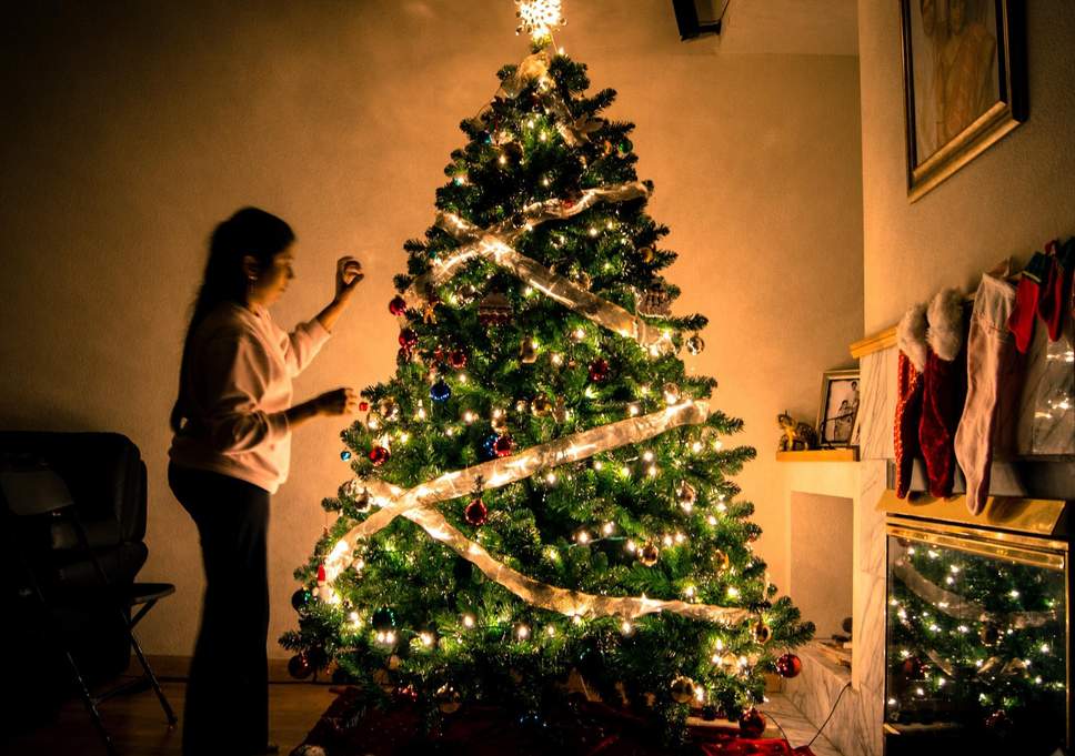 Time to go Christmas Tree Shopping!