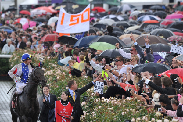 Article image for Ultimate Melbourne Cup guide