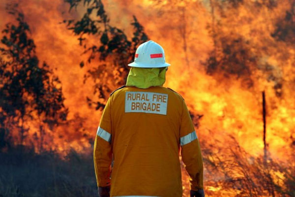 Farmers counting the cost of Qld bushfires