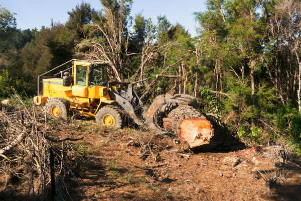 Federal Parliament inquiry in Qld land management