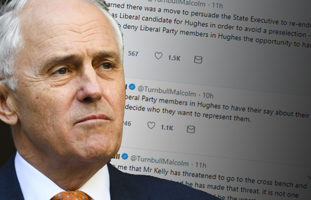 Article image for Malcolm Turnbull steps in to stop ‘worst and weakest’ bid to save jilted Lib