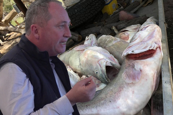 ‘That’s a load of garbage’: Barnaby Joyce rubbishes corruption allegations