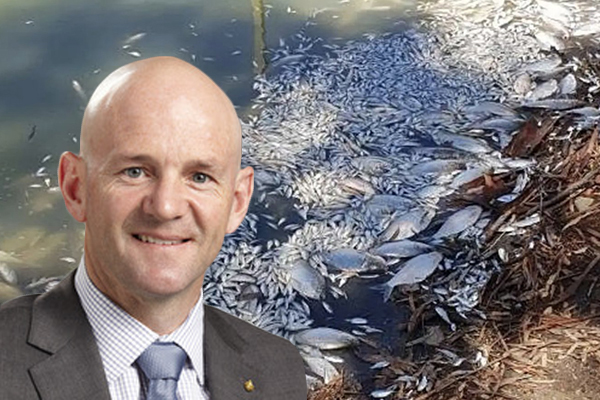 Article image for Water minister feared for his safety while visiting rural community devastated by fish deaths