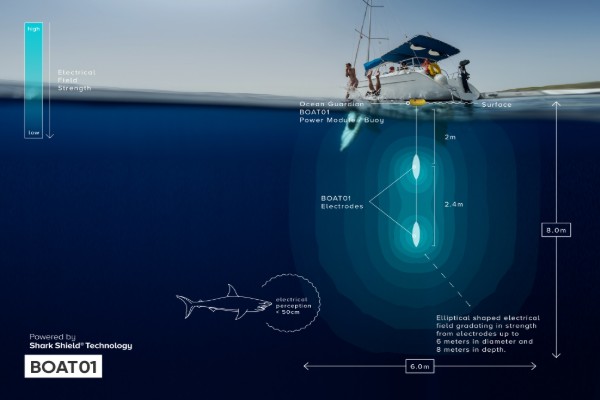 Electric sharknet may have prevented Whitsunday attack