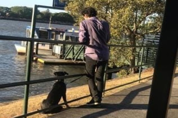 Push for pooches on public transport