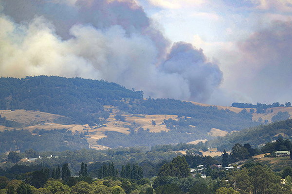 Article image for Tasmania bushfires update: ‘They will take weeks before they can be extinguished’