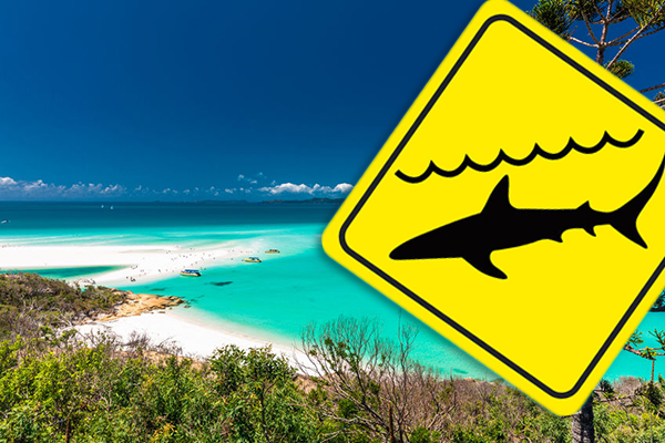 Article image for Shark attacks two people, including a child, at Hamilton Island
