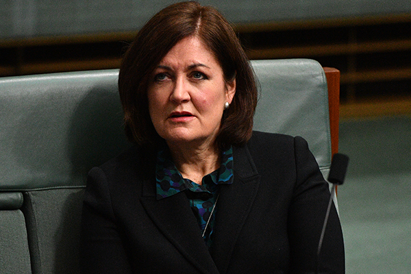 Article image for Liberal Party ‘has been an absolute champion for women’, says MP