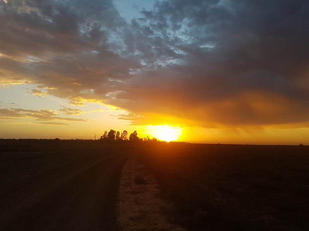 Article image for Beautiful sunrise photos as temperatures set to soar in the bush