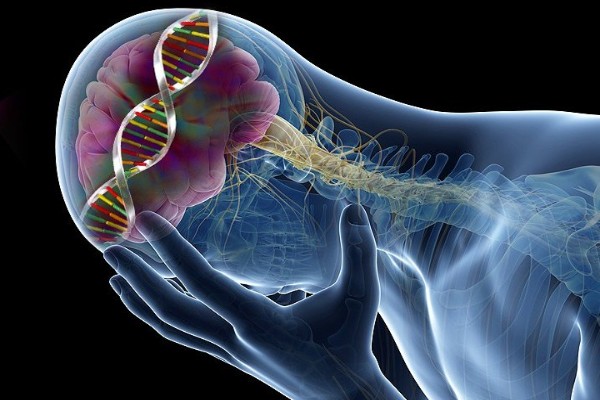 Qld researchers find a genetic link to depression