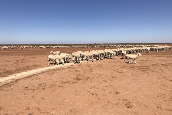 Stunning photos from the bush