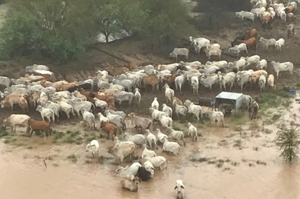 Battling Queensland farmers hit hard by floods