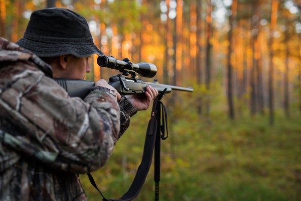 Game hunting in state forests petition hits the target