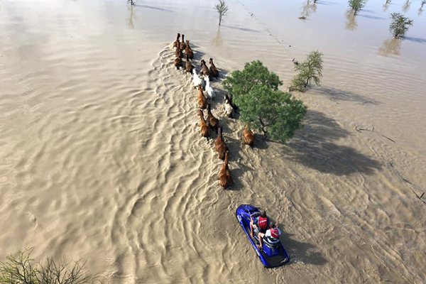 Article image for Shocking vision of the flood devastation at Cloncurry