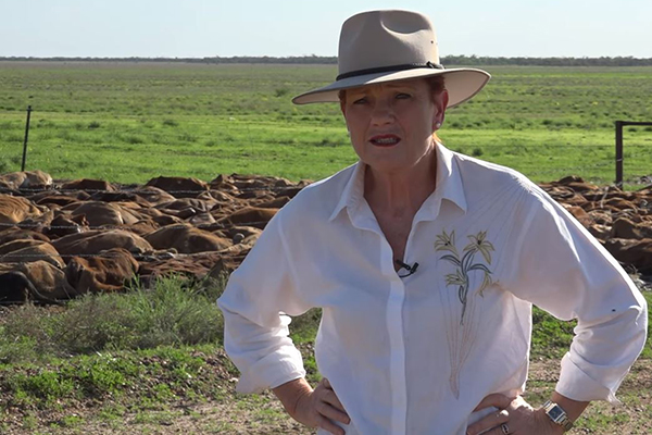 Article image for ‘I’m disgusted with it’: Pauline Hanson ditches Canberra to be with flood victims