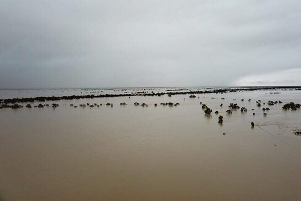 Scott Morrison focused on floods not polls, despite major boost