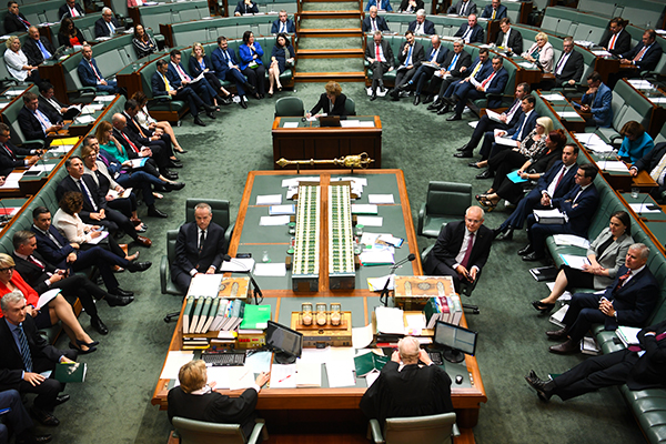 Article image for ‘They’ve just stopped functioning’: Labor hits out at ‘bizarre’ day in politics