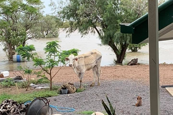 Article image for Update on QLD floods: ‘It looked more like the coastline’