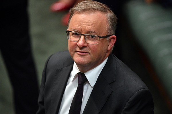 Anthony Albanese congratulates Prime Minister on One Nation decision