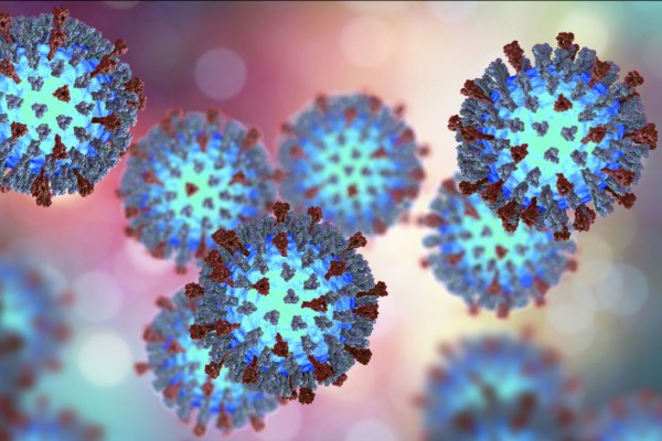 Measles alert issued for inner Brisbane area
