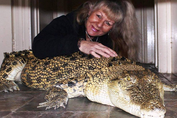 Article image for Croc Lady fears she will lose her ‘family’