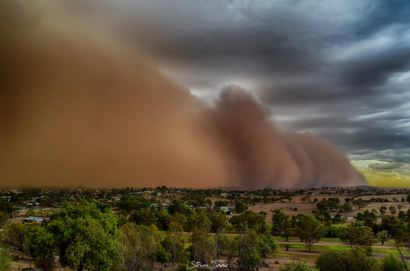 Article image for Amazing photos of a NSW dust storm