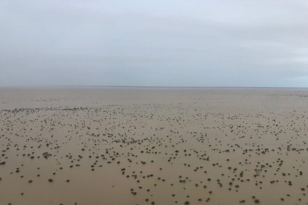 ‘It’s havoc’: Queensland flood update