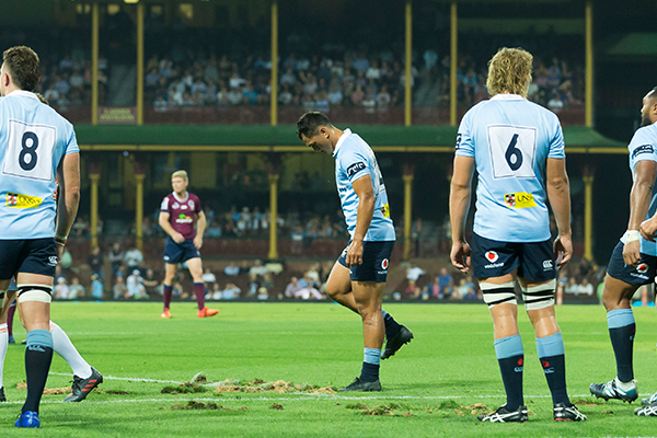 Article image for ‘Absolutely guaranteed’: SCG Trust certain turf will be ready for play