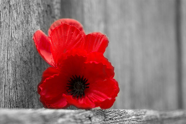 Article image for Lest we forget: Family members remember their veterans
